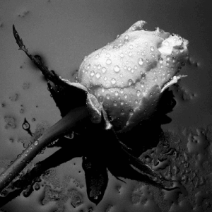 illustrazione 001 300x300 - pensando.it - tecnologia, marketing e tante idee per il web