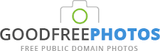 logo googdfreephotos - I 10 migliori siti dove scaricare immagini gratis per il tuo blog