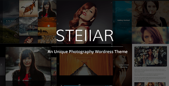 Sei un fotografo? Ecco i migliori temi per il tuo website in wordpress stellar - Sei un fotografo? Ecco i migliori temi per il tuo website in wordpress