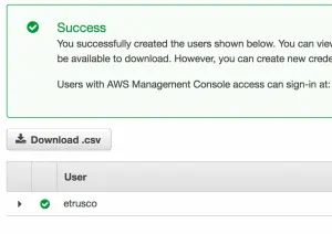 006 IAM fine utente 1 300x212 - AWS CloudFront CDN: Come configurarla per velocizzare wordpress