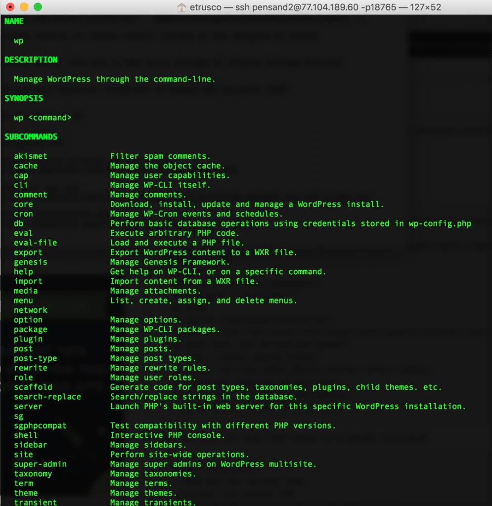 060 wp cli test 995x1024 - AWS CloudFront CDN: Come configurarla per velocizzare wordpress