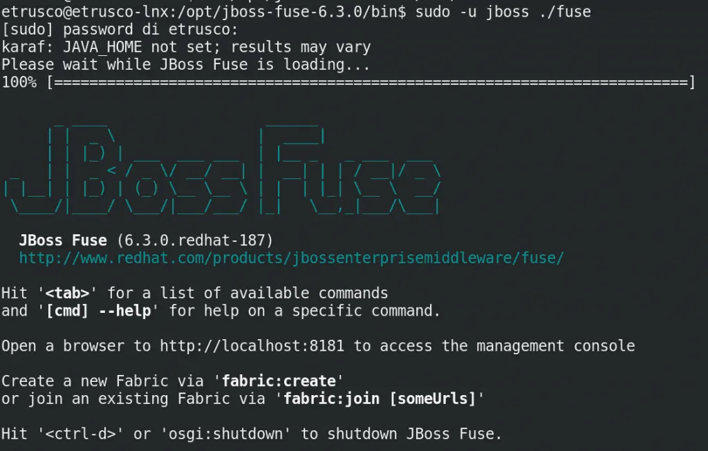 1 fuse karaf 1024x653 - Come implementare un (semplice) sistema IoT con redhat jboss fuse, node.js e mongodb