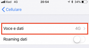 4 iliad voce e dati 300x161 - Guida alla configurazione della sim iliad su iPhone