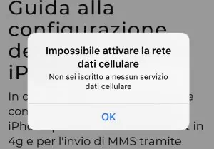 6 problema iliad 300x209 - Guida alla configurazione della sim iliad su iPhone