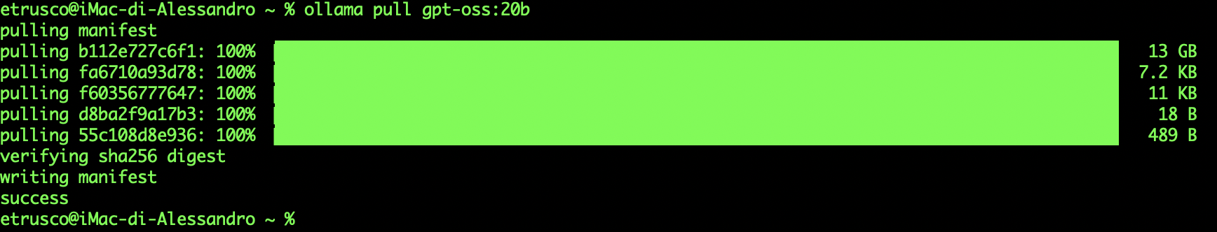 Come installare ChatGPT sul pc di casa gpt oss 6 - Come installare ChatGPT sul pc di casa